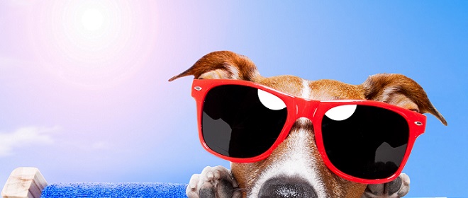 Auguri di Buon Ferragosto