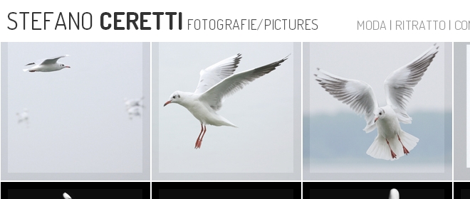Online sito StefanoCeretti.com